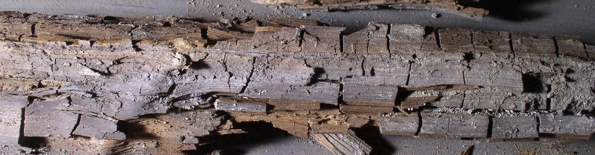 Dry Rot Treatment Can Transform Your Property Acupuncture Practice